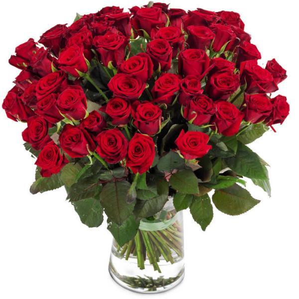 40 Red Roses